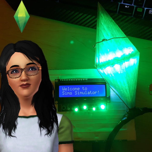 Sims Simulator